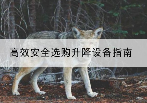 赞皇升降货梯厂家推荐-*安全选购升降设备指南