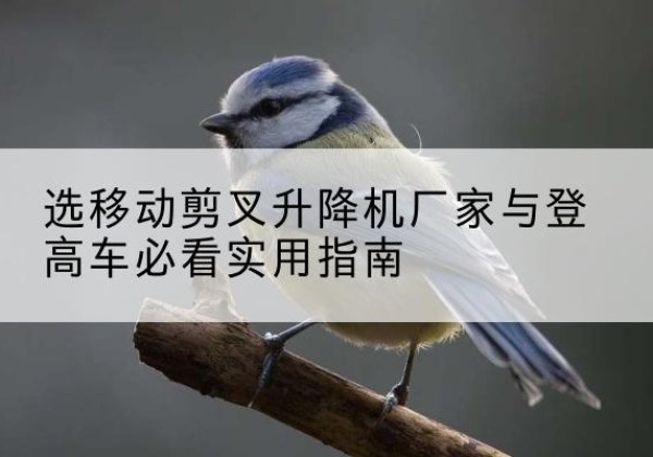 赞皇电动升降机厂家-选移动剪叉升降机厂家与登高车必看实用指南